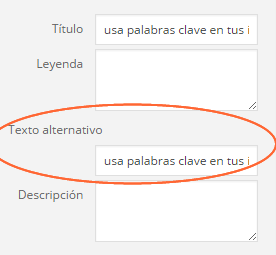4 Técnicas SEO para Añadir Palabras Clave en las Imágenes de tu web 4 Técnicas SEO para Añadir Palabras Clave en las Imágenes de tu web