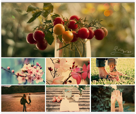 +50 Acciones de Photoshop Gratis para optimizar tus Fotografías