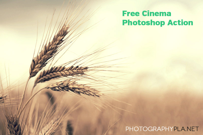 +50 Acciones de Photoshop Gratis para optimizar tus Fotografías