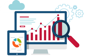 Seo profesional
