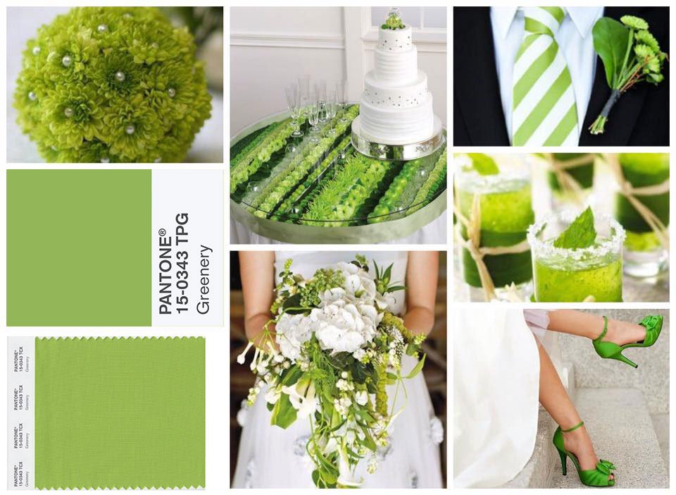 PANTONE 15-0343 Greenery es el Color Pantone 2017 10 PANTONE 15-0343 Greenery es el Color Pantone 2017