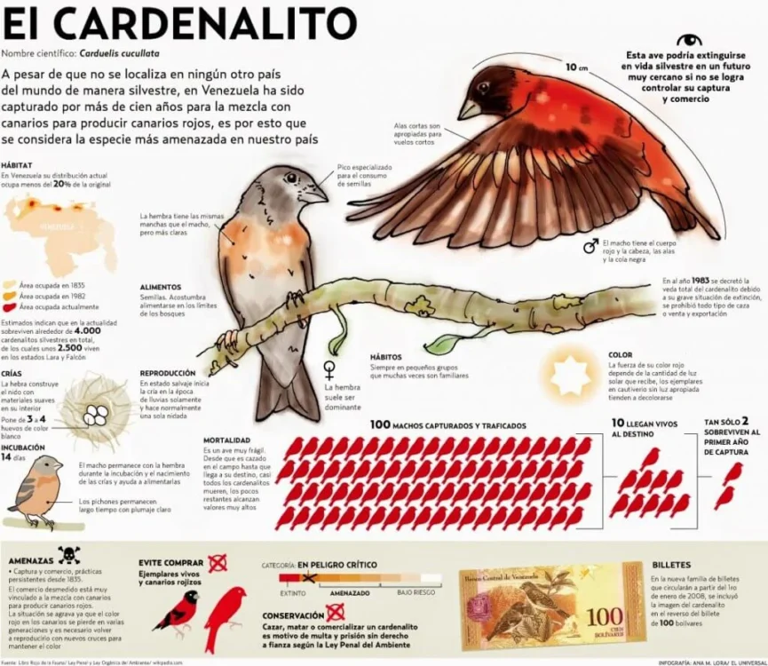 ¿Que es una Infografía? 4 ¿Que es una Infografía? 4