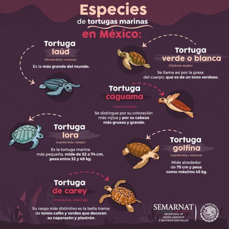 6 consejos para crear buenas infografías 5 6 consejos para crear buenas infografías 4