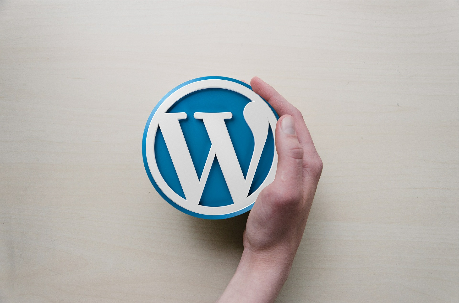 logotipo de wordpress sostenido por una mano