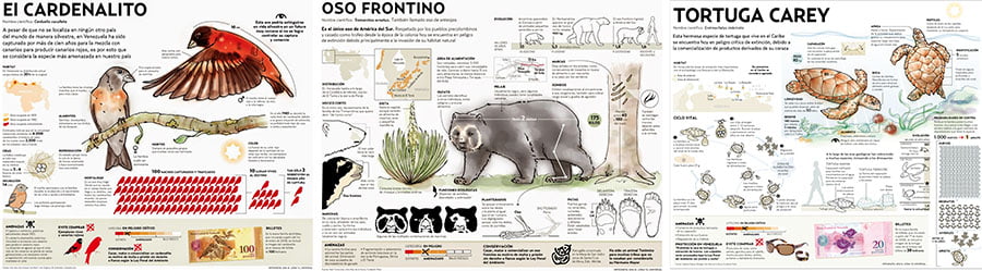 ¿Que es una Infografía? 8 ¿Que es una Infografía? 7