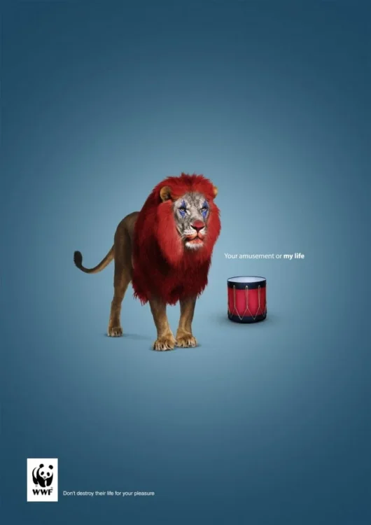 8 Principios del Diseño Gráfico 1 8 Principios del Diseño Gráfico 1